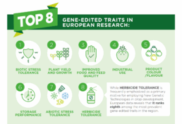 Bildschirmfoto 2025 06 30 um 15.24.43 uai