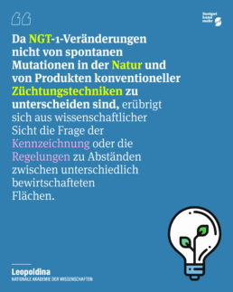 SkM SP 145 scaled uai