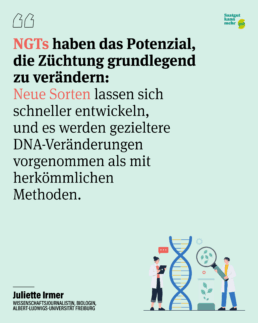 SkM SP 233 scaled uai